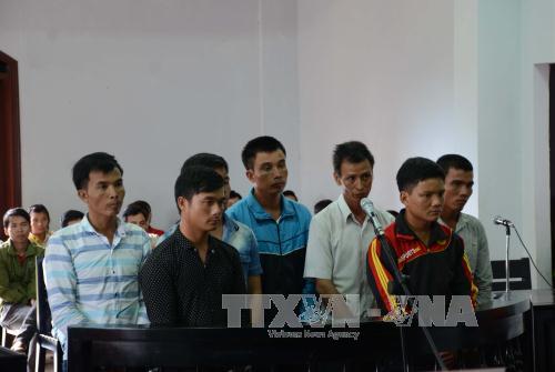 'Té nước theo mưa' cưa hạ gỗ quý trong khu bảo tồn